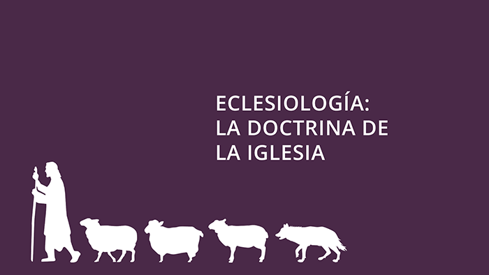 Ver curso